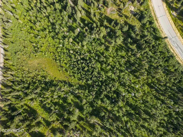 L5 Mountain Air Dr, Anchorage, AK 99516