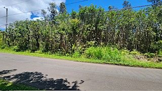 5th image of Plumeria St Lot 6355