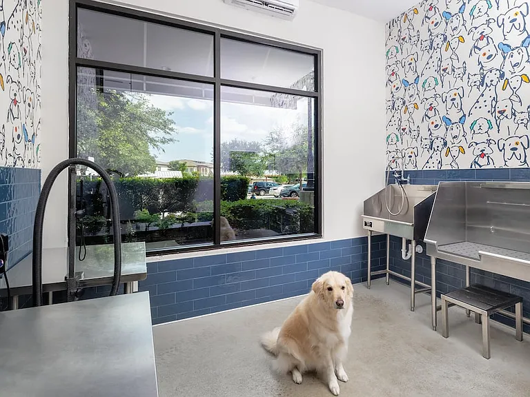 WAG Pet Spa