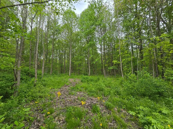 0 N Delaware Rd, Milan, IN 47031