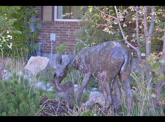 5th image of 3142 Davis Dr