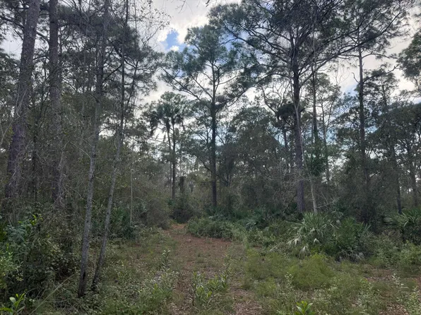 0 SW DEER RUN, Okeechobee, FL 34974