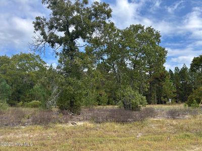 35 Gum Swamp Lake Rd Lot 35, Marston, NC, 28363