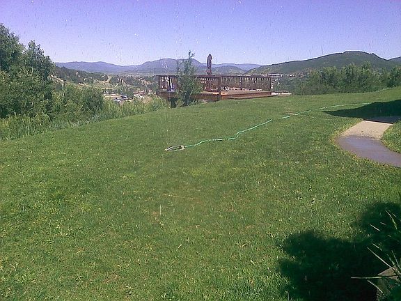 Backyard full lawn
