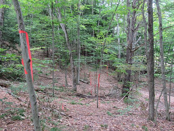 3rd image of L16 Barker Road