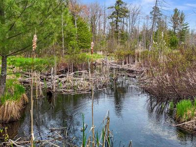 0 Dubonnet Trl, Interlochen, MI, 49643