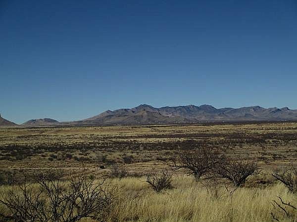1st image of Lonely Dove Ln