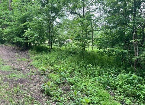 2nd image of LOT 9 S Hickory Ave #13