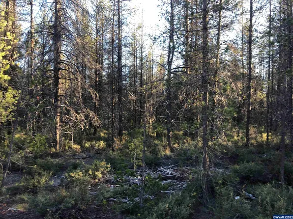 Munson Dr Lot 2, Chiloquin, OR 97624