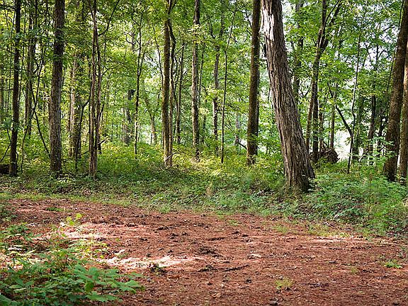 4th image of LOT 11 Cypress Point