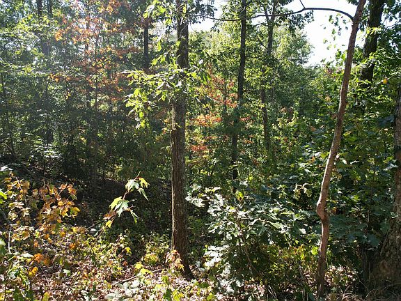 2nd image of 0 Evans Sisters Rd