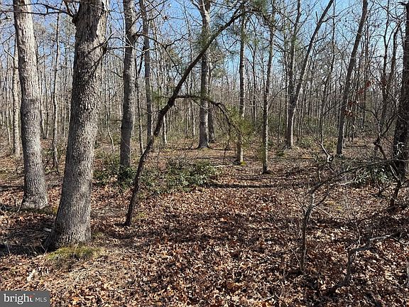 2nd image of 0 Cedar Bridge Rd