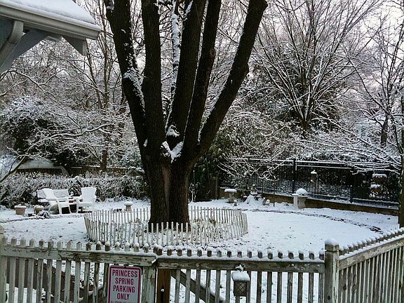 Private back yard downtown!