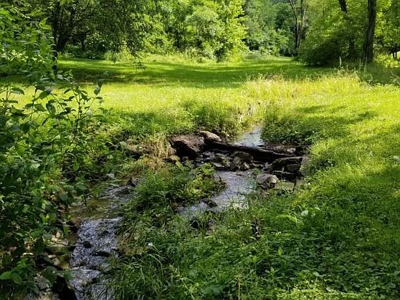 4th image of 547 Rose Creek Dr