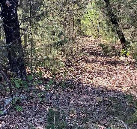 4th image of 13701 Choctaw Hills Pl Lot 6
