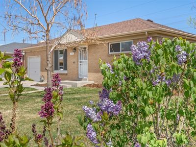 11116 Pearl Street, Northglenn, CO, 80233