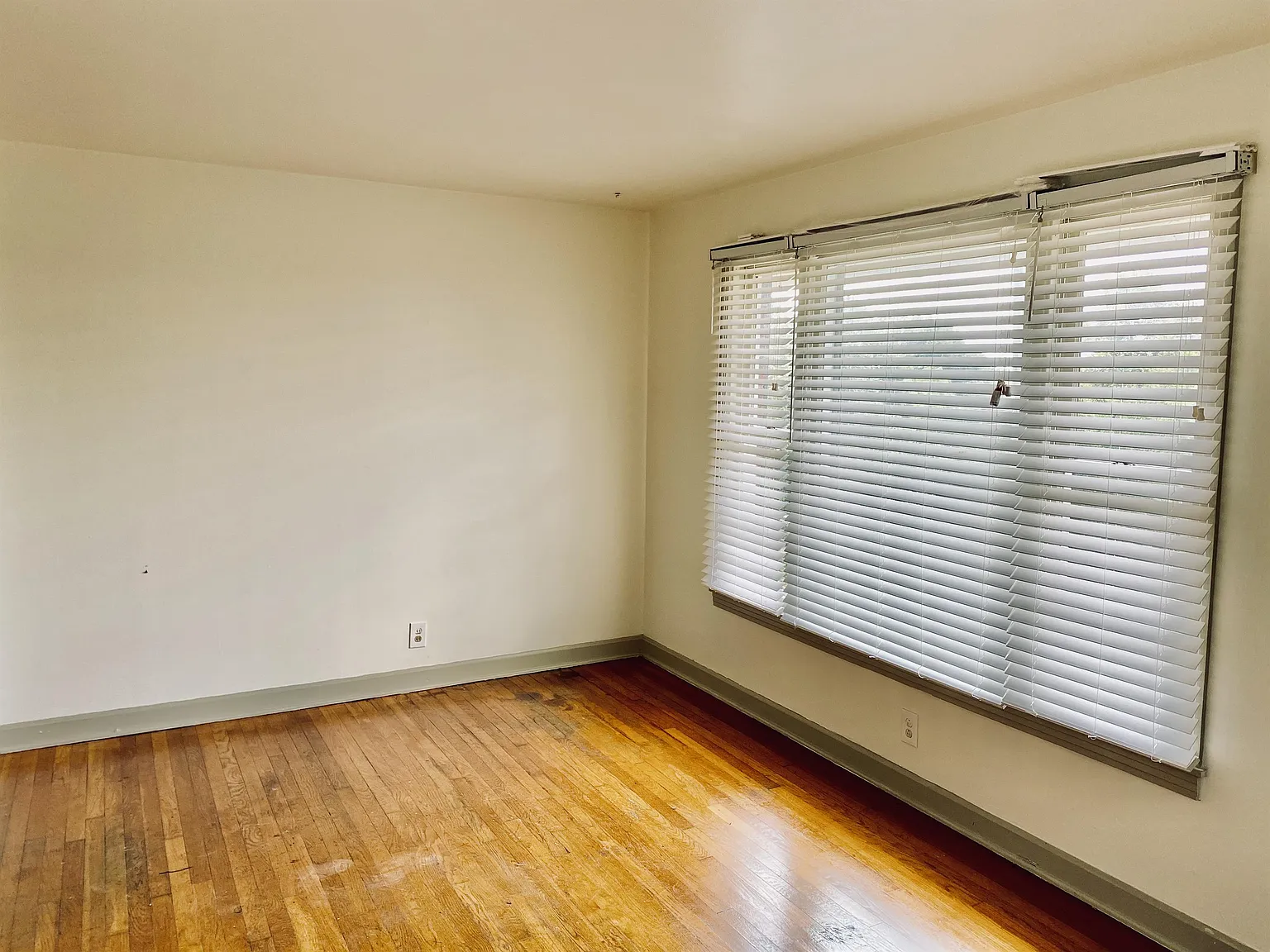 Blair Boulevard - 3204 A — Photo 3