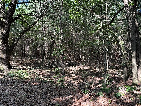 2nd image of TRACT 2 Convick Cir