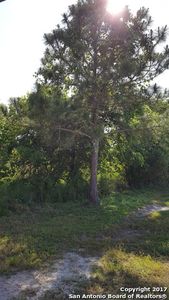 TBD FRIO LOT 366, Bandera, TX, 78003