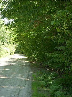 2nd image of LOT 7 Wabunaki Road