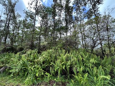 Aloha Dr Lot 8, Kurtistown, HI, 96760
