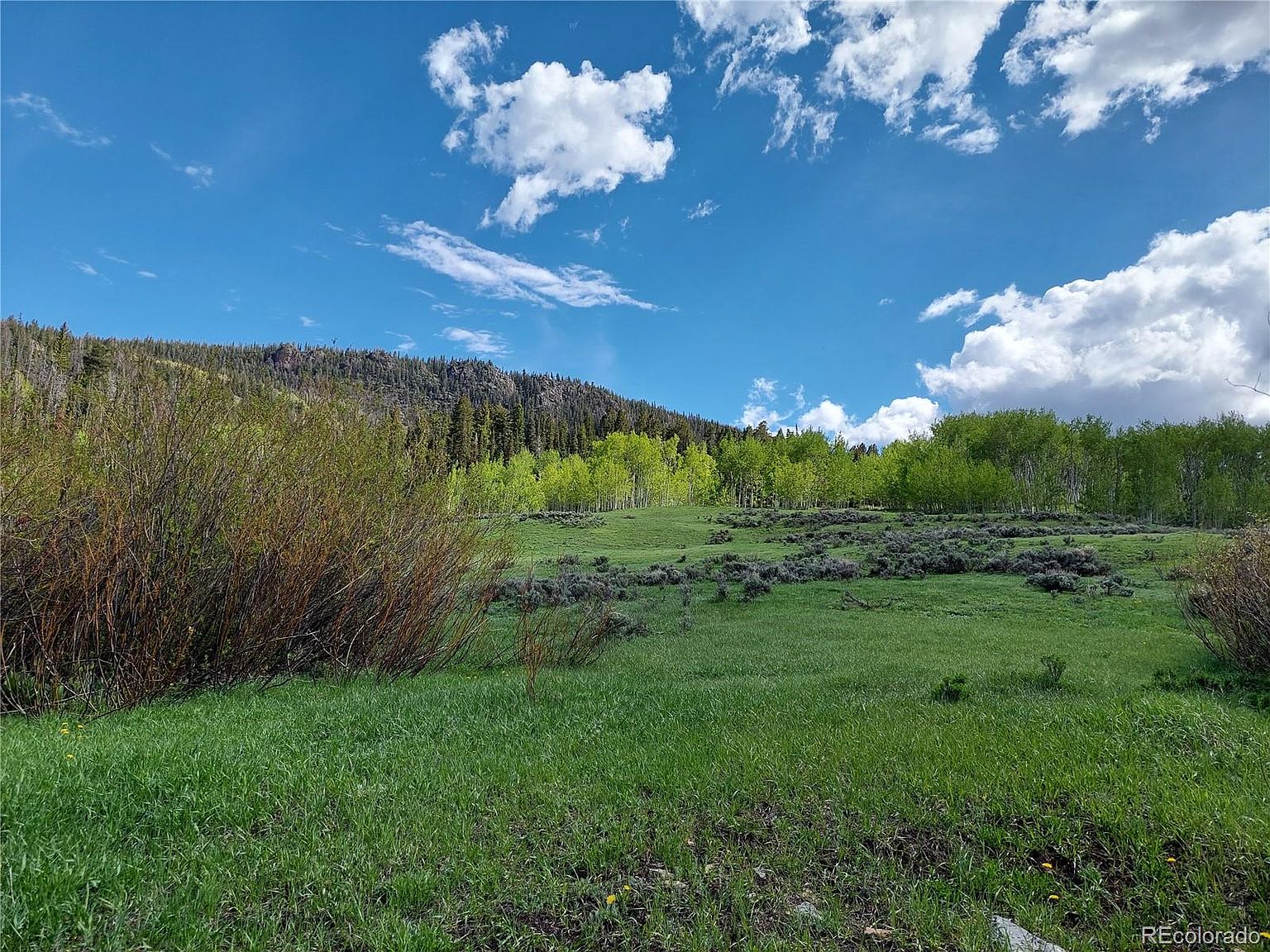 00 Tbd Gcr 134 (Western Parcel 21 Ac), Kremmling, CO 80459 MLS