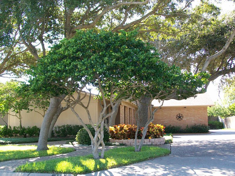 1st image of 109 W Janin Cir
