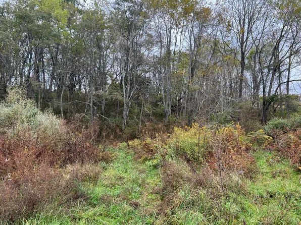 Albany Summer Ln, Lewisburg, WV 24901