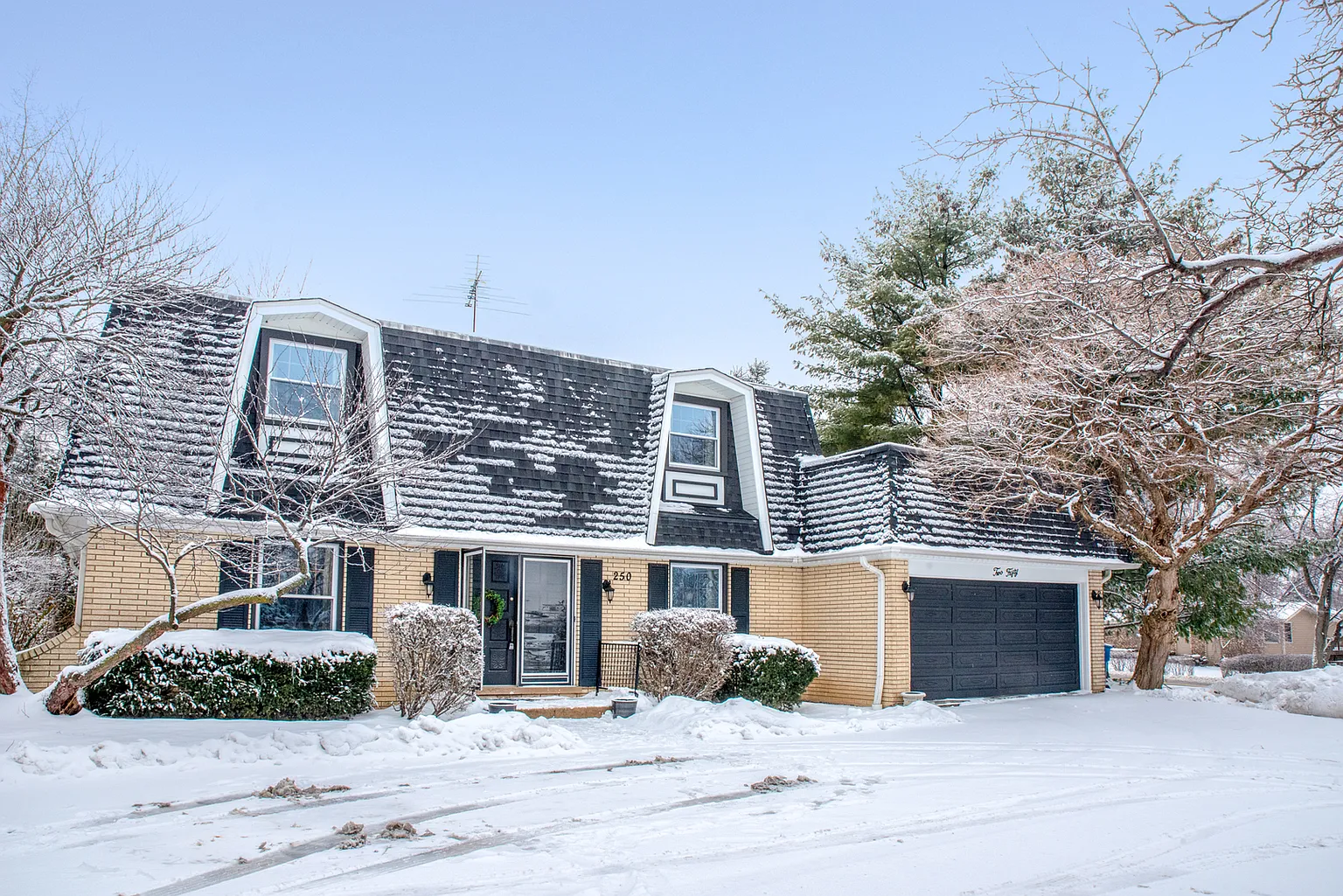 250 S Bloomingdale Rd photo 1