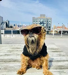 Rented by REAL New York