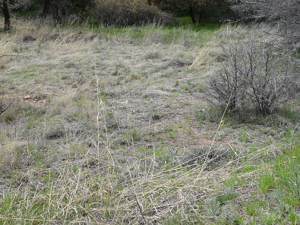 2nd image of 22356 S Shady Way