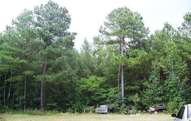 2nd image of 3555 Moonmist Rd