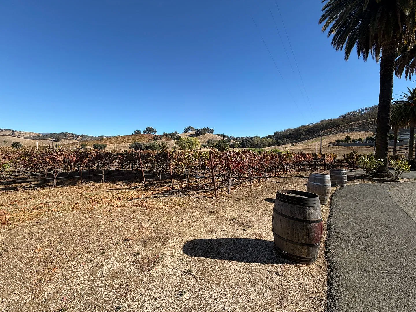 Best Of Suisun Valley Living! All Utilities Included! — Photo 4