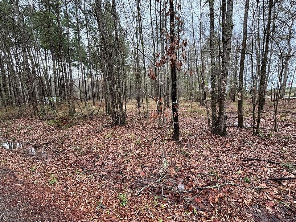 2nd image of LOT 1 Newsome Rd