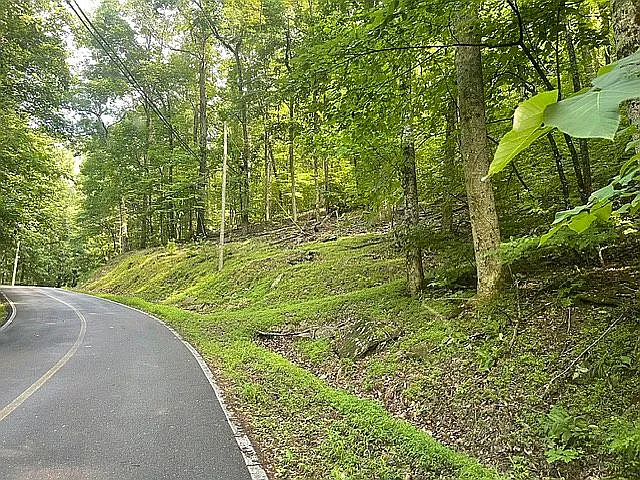 Chestnut Cove Trl photo 1