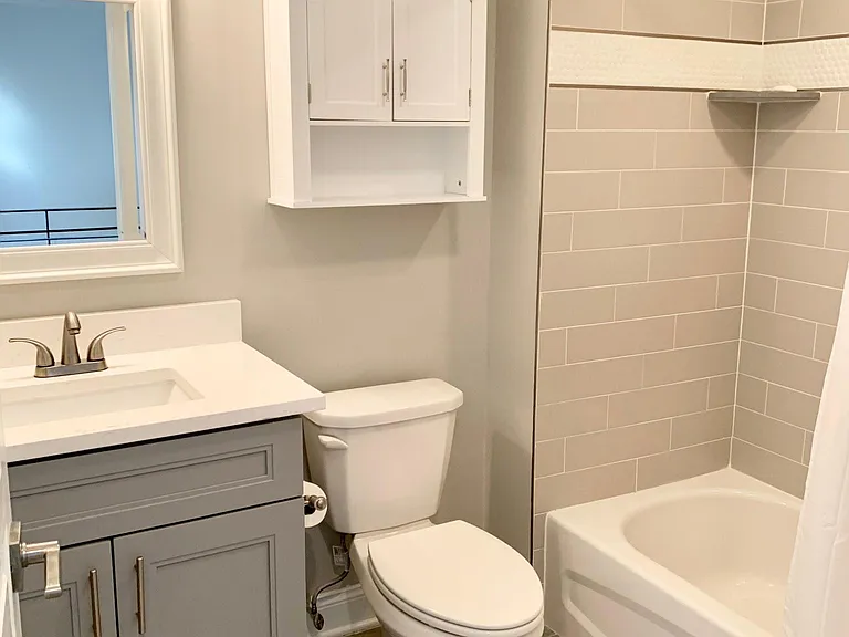 Modern hall bath - 2nd floor
