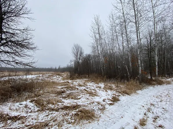 Loon Ave, McGregor, MN 55760