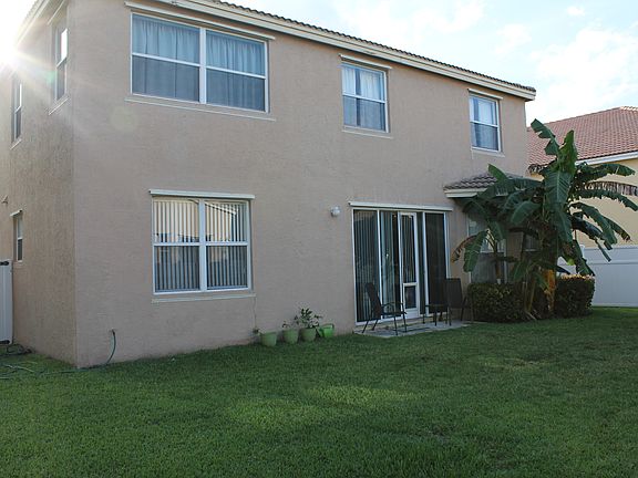Large backyard/banana tree