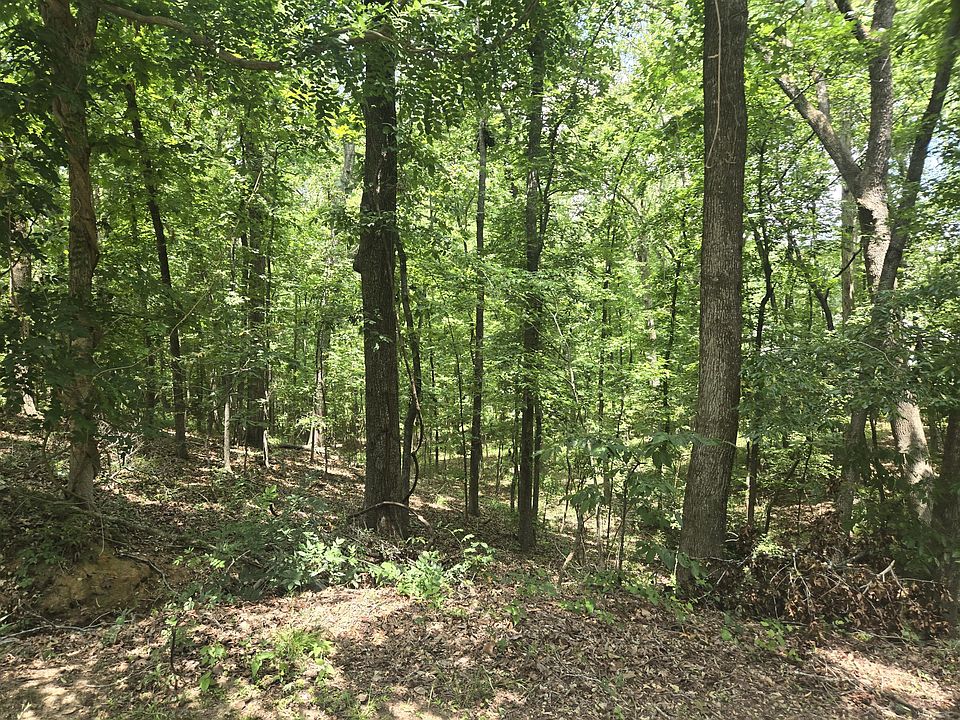 2nd image of 12 Pinewood Dr