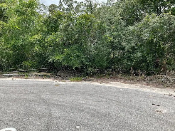 Lots 55 & 57 Malauka Radl #55-57, Ocklawaha, FL 32179