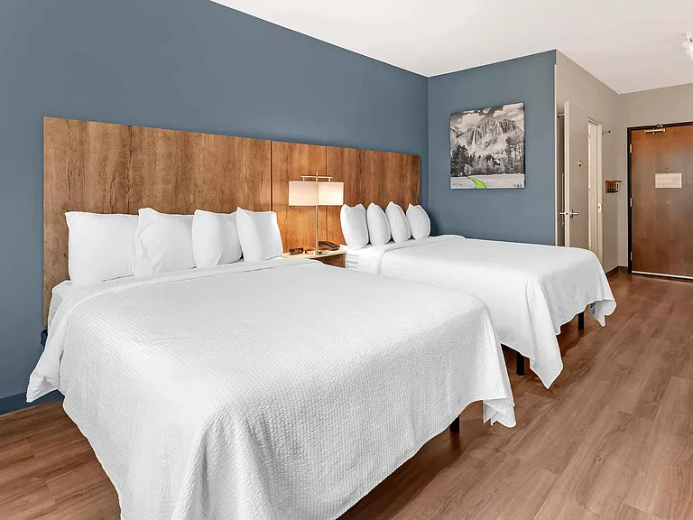 Studio Suite - 2 Queen Beds