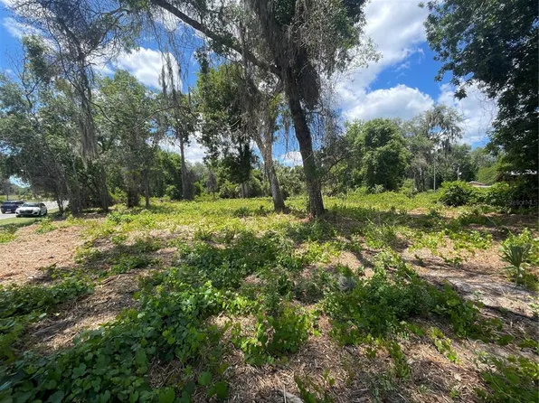 County Road 42 Lot 411, Umatilla, FL 32784