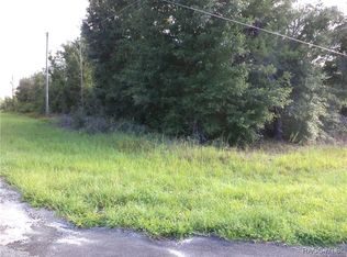 6424 N Matheson Dr, Citrus Springs, FL 34434