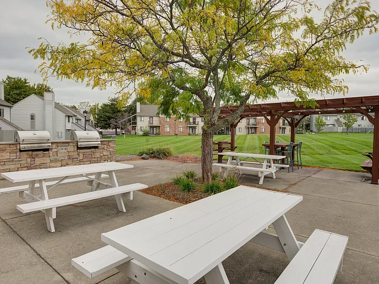 Exterior Grills and Picnic Area