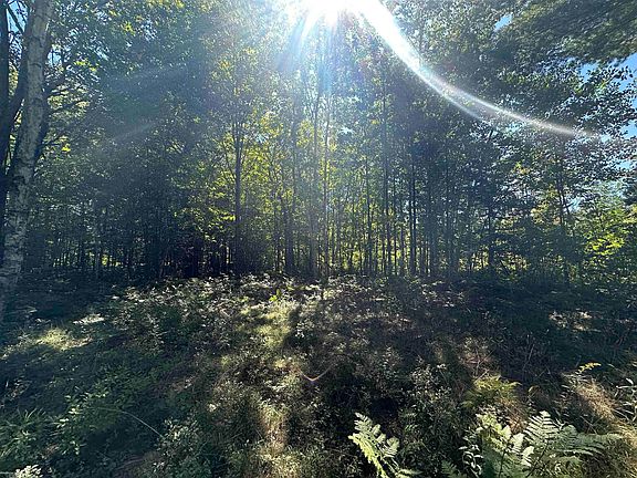 2nd image of 0 Long Lake Rd