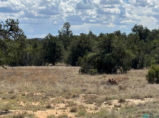 13 Davids Rock Rd, Pine Hill, NM 87357