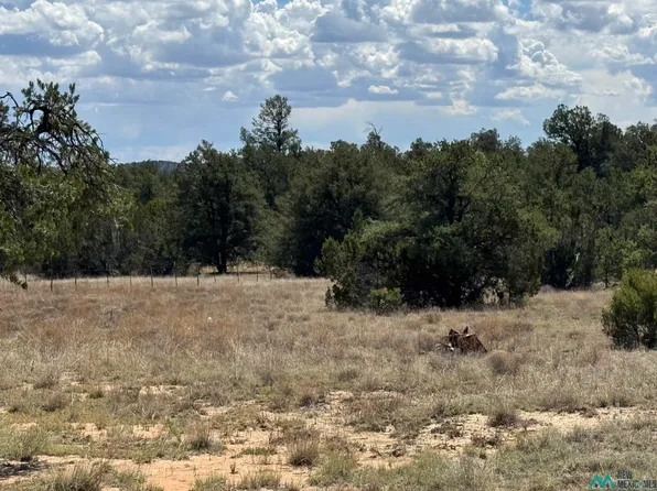 13 Davids Rock Rd, Pine Hill, NM 87357