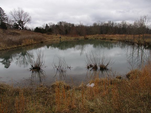 4th image of 12210 County Road 8390