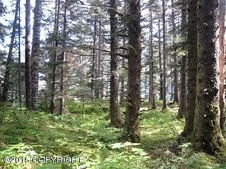 3rd image of L3-4 Anton Larsen Is