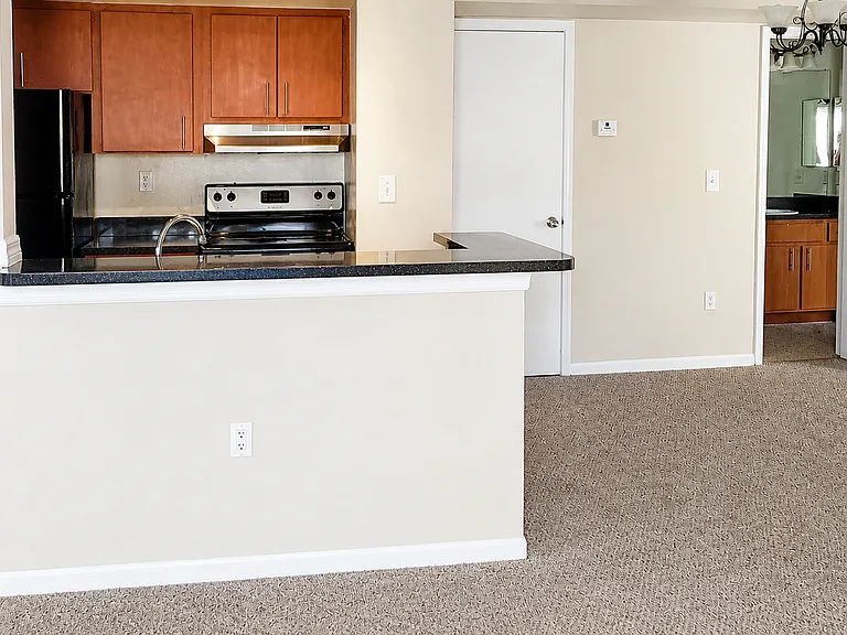 441 Fountainhead Cir #271 — Photo 3